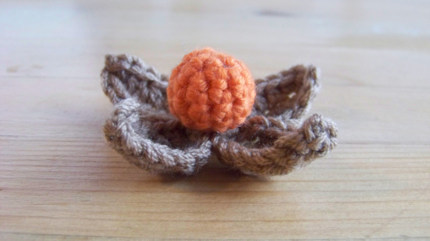 Physalis fabriquée en crochet