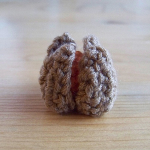 Physalis fermé en coton fabriqué en crochet